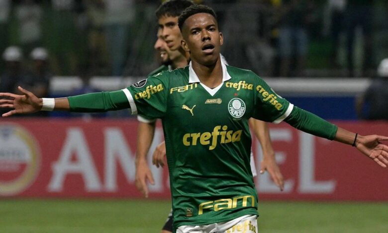 Willian Estevão: Tactical and Technical report