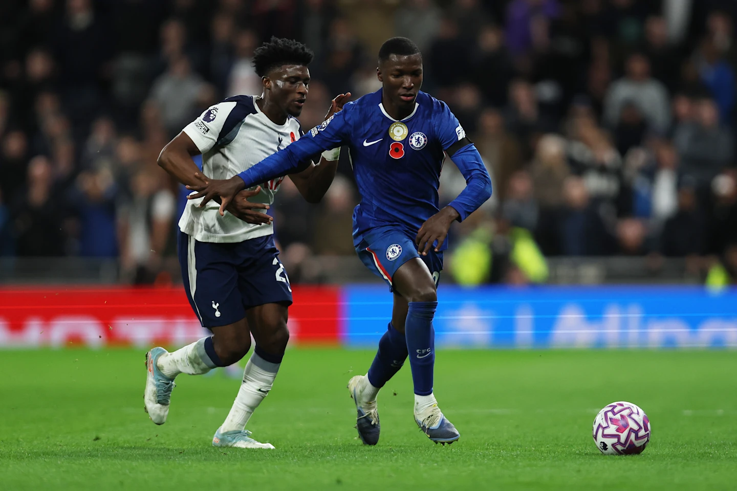 Robert Sanchez Names Caicedo as Best in His Position